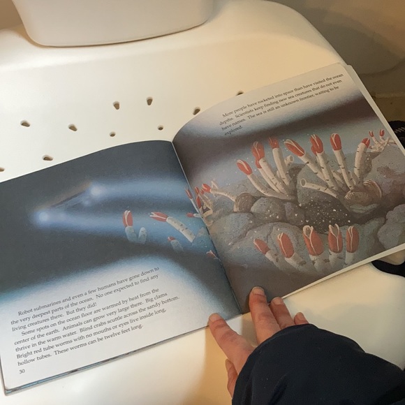 “Whales and Other Creatures of the Sea” kids book - Picture 11 of 16